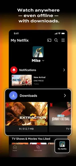 图片[2] - Netflix (网飞) 官方最新安卓版安装包下载 - 跨境日记