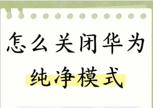 华为手机如何关闭纯净模式 - 跨境日记